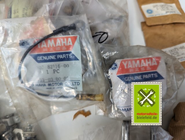 PXL_20240523_133818606